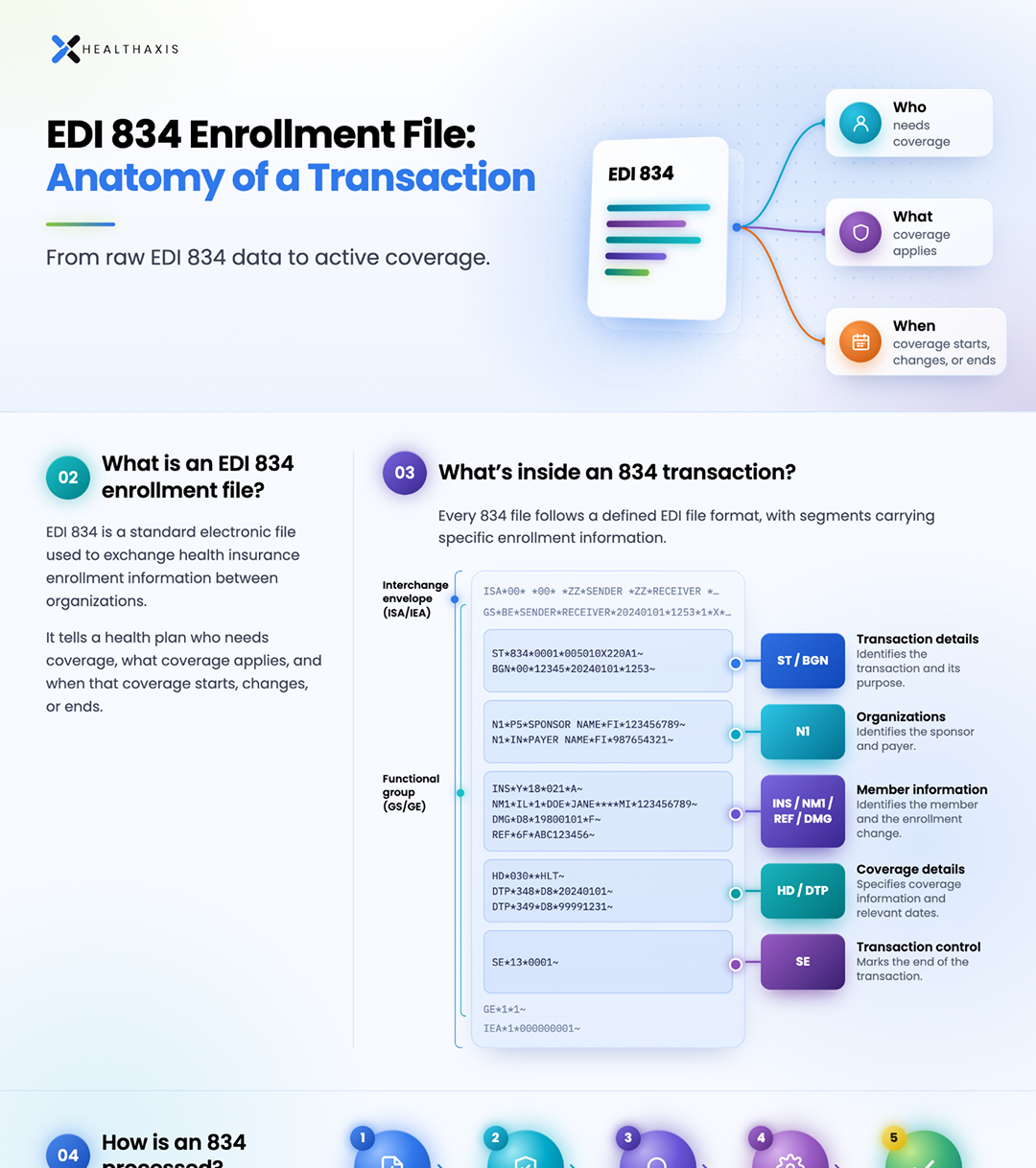EDI 834 enrollment file infographic preview showing transaction segments and processing steps